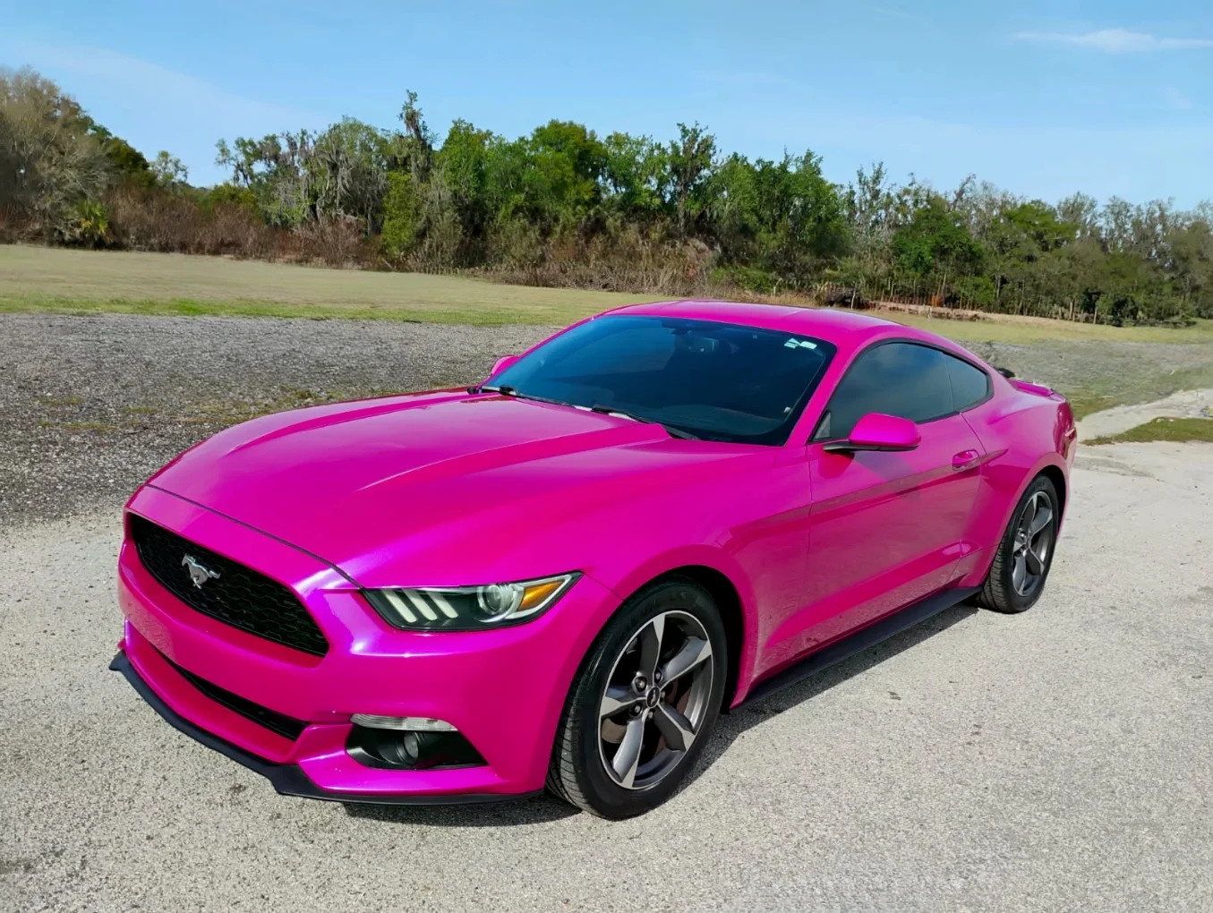 Bright magenta Ford Mustang coupe parked on asphalt with rural landscape and trees in background